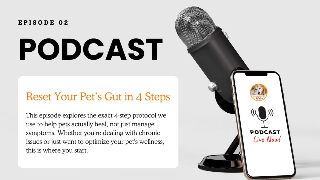 Episode 02: Reset Your Pet's Gut in 4 Steps