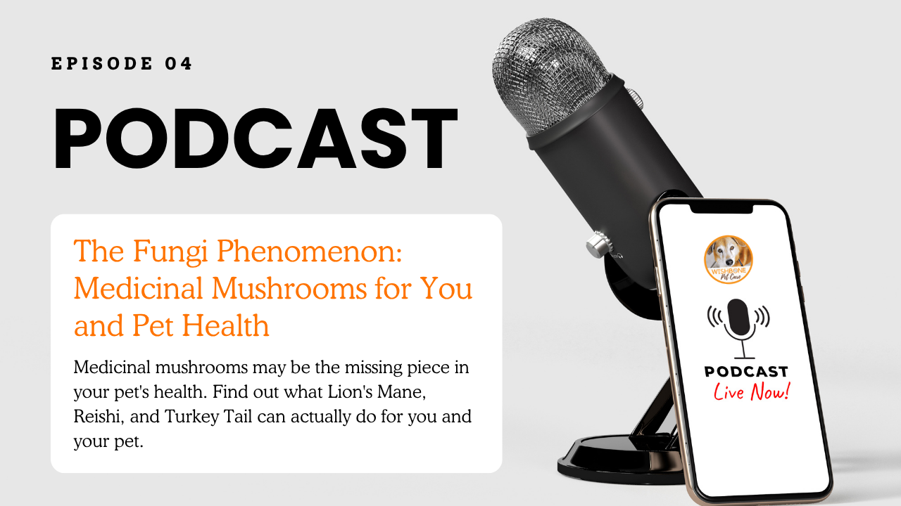 Episode 04: The Fungi Phenomenon: Medicinal Mushrooms for You and Pet Health
