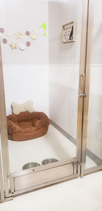 4×6 Glass Suite