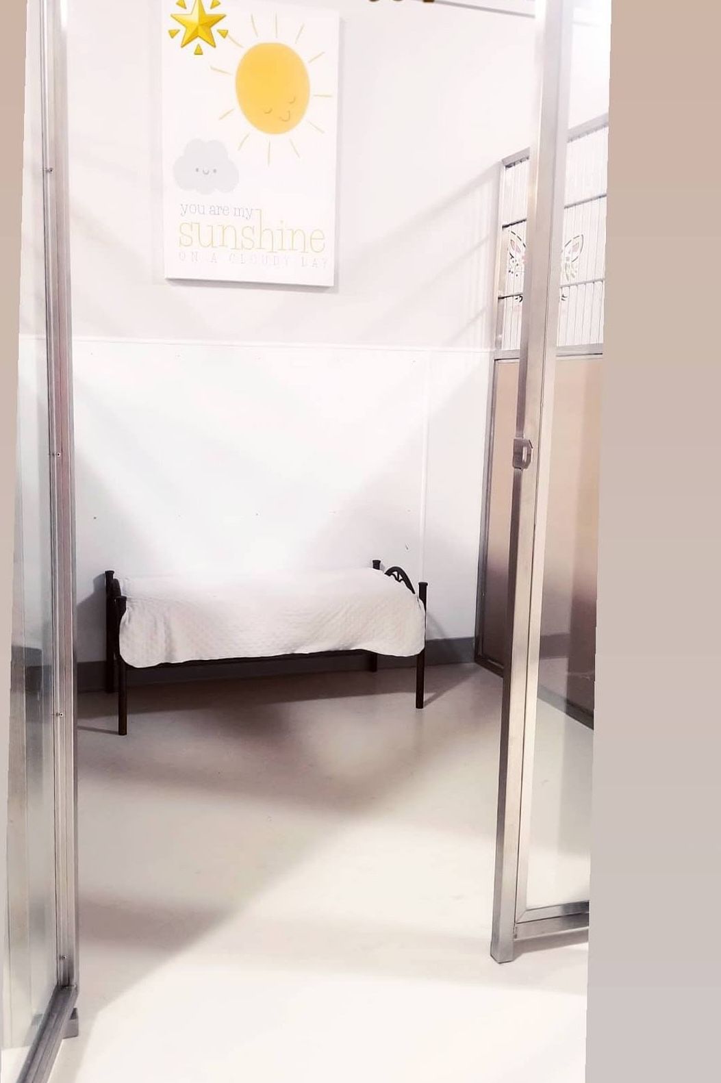 6×6 Glass Suite