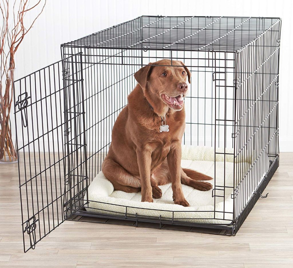 Large Crate
