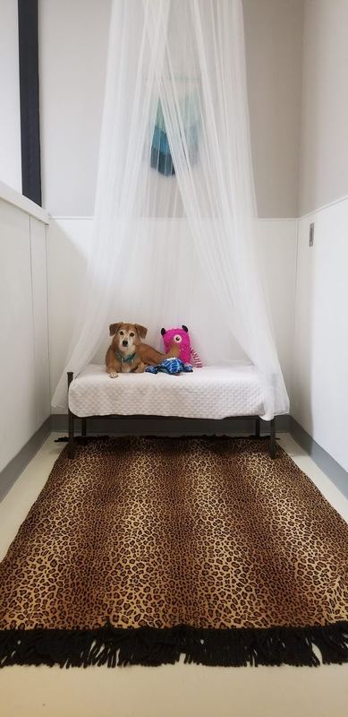 5×9 Private Room + Webcam