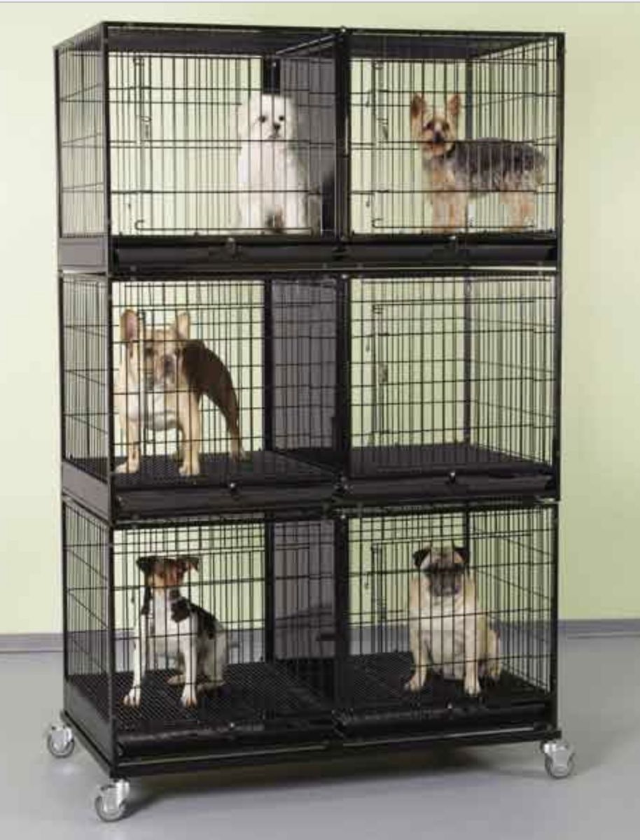 Small Crate