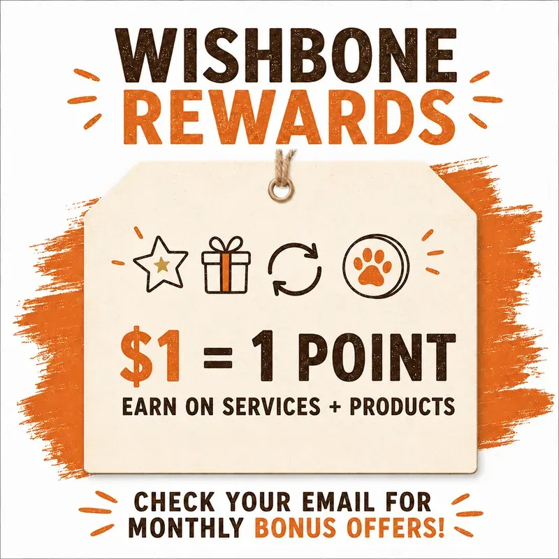 Wishbone Rewards — $1 equals 1 point on services and products